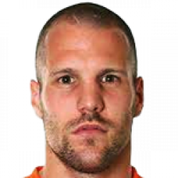 Ron Vlaar